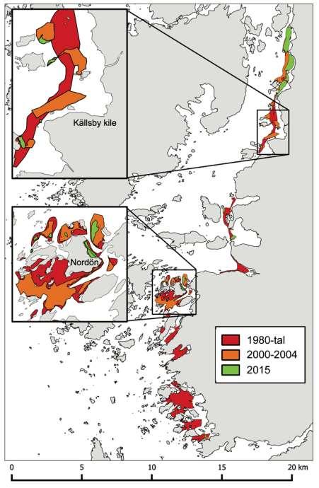 Förändringar i utbredning av ålgräs 1981-2015 På 1980-talet var de grunda mjukbottnarna i Bohuslän täckta av täta ålgräsängar fulla av småtorsk och ål.