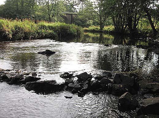 vattenkontroll 28 1 Vattensystem: Vattendrag/namn: Provpunktsbeteckning: RÖNNE Å Bäljaneå, nedstr Klippan RO Provdatum: Lokaltyp: Å 28-9- Naturligt/grävt: naturligt Lokal lämplig för provtagning: