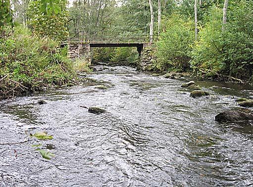 vattenkontroll 28 1 Vattensystem: Vattendrag/namn: Provpunktsbeteckning: RÖNNE Å Pinnån, Storamölla RO46 Provdatum: Lokaltyp: Å 28-9- Naturligt/grävt: naturligt Lokal lämplig för provtagning: mycket