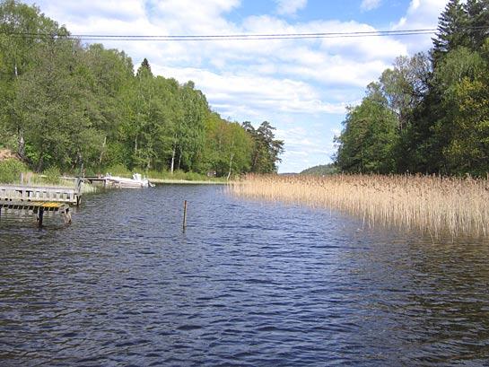 1. Gröen, sundet vid Alehagen Datum: 2009-05-12 Kommun: Härryda Koordinat: 6399220/1281150 Längs sundets mittfåra.
