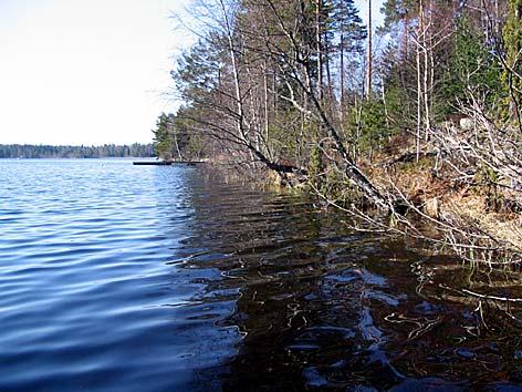3. Öran, Paradiset Datum: 2005-04-25 Flodområde: 62 Tyresån Koordinat: 6561450/1629420 N Foto X X X X X Brygga I sjöns nordvästra del, ca 25 m norr om brygga.