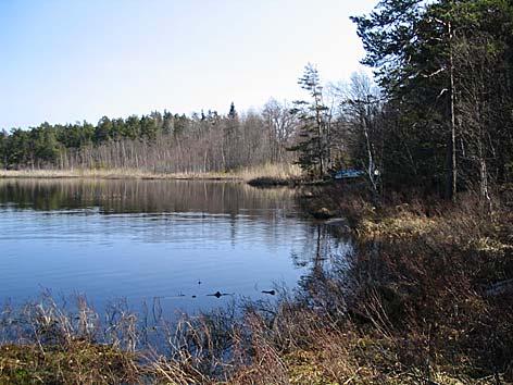 4. Öran, Riddartorp Datum: 2005-04-25 Flodområde: 62 Tyresån Koordinat: 6560320/1629920 Elledning N Lite sten på botten X X X X X 25 m på varje sida om elledning.
