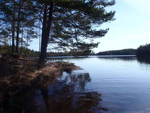 Rapport 2011:11 Rapport 2001:01 Bottenfauna i Stockholms län 2010 En