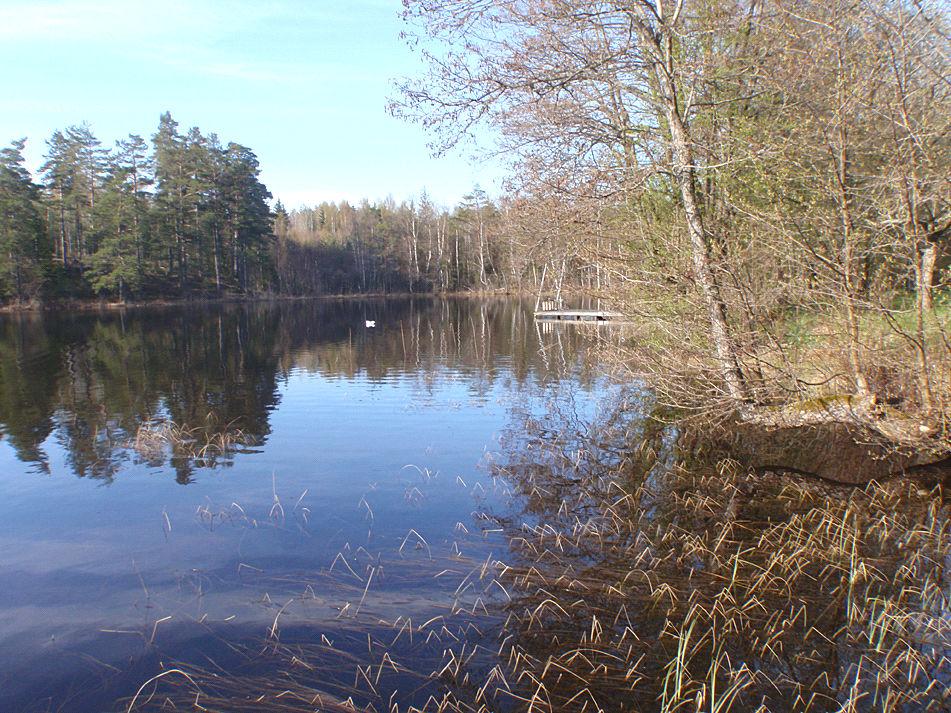 1. TRÖNSJÖN, Molstaberg Datum: 2010-05-12 Kommun: Södertälje Koordinat: 6551948/637354 från "stenpiren" och 10 m mot bryggan Naturvårdsverkets kriterier (2007) Ekologisk kvalitetskvot Status/Klass