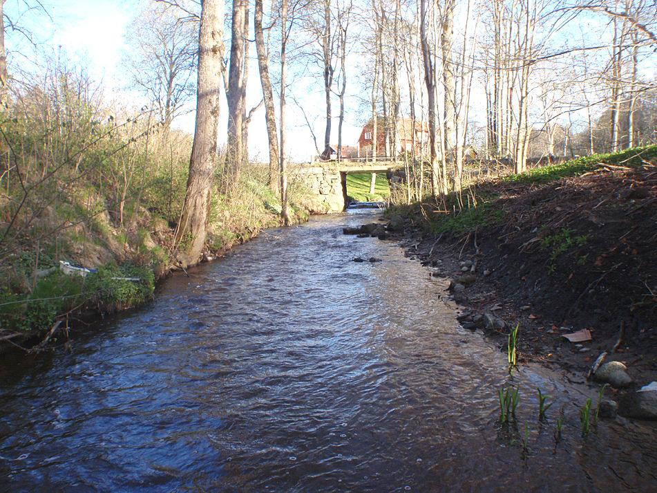 5. Taxingeån, Taxinge Datum: 2010-05-11 Kommun: Södertälje Koordinat: 6569470/631519 ca 25 m nedströms bron Naturvårdsverkets kriterier (2007) Ekologisk kvalitetskvot Status/Klass MISA ASPT-index: