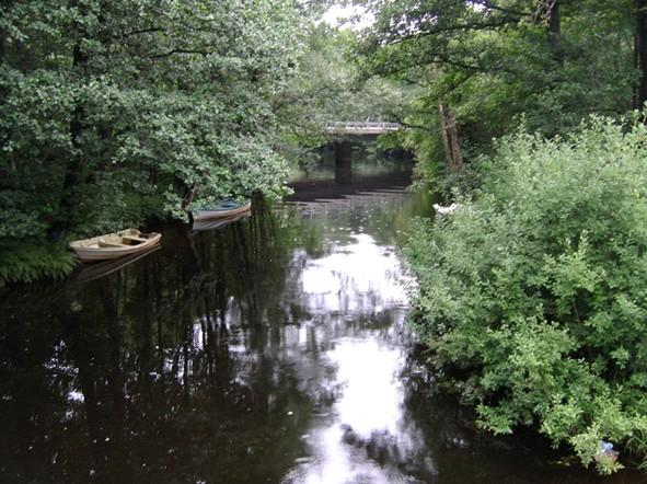 Sträcka 1. Mölndalsån Beskrivning biotop Lugnflytande och skuggig sträcka uppströms Rådasjön med en närmiljö av lövsumpskog och lövskog.
