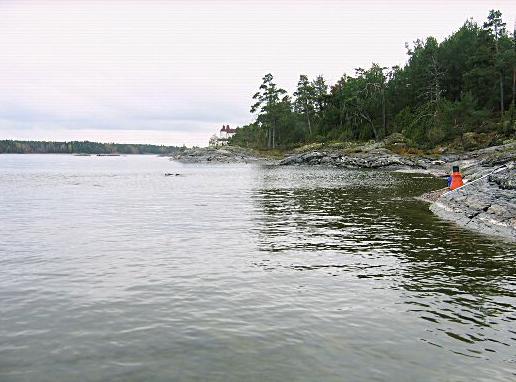 3.3 Naturvärden Bottenfaunans artrikedom i kombination med förekomst av ovanliga arter motiverade att bottenfaunan bedömdes ha höga eller mycket höga naturvärden på samtliga sju lokaler (Figur 8).