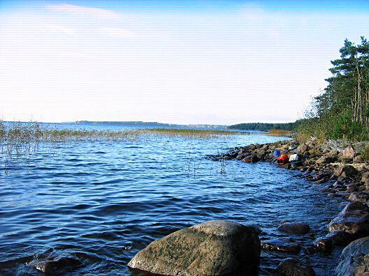 3. Vänern - Värmlandssjön, HattarevikenDatum: 2014-10-20 Flodområde: 108 Göta älv Koordinat: 6519746/1380704 RT90 Proverna togs där vassbältet tog slut och stenbotten tog vid.