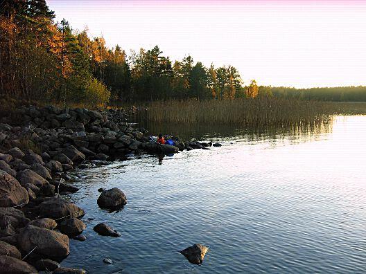 4. Vänern - Värmlandssjön, Notudden Datum: 2014-10-20 Flodområde: 108 Göta älv Koordinat: 6526902/1387754 RT90 Proverna togs strax norr om stenarmen.