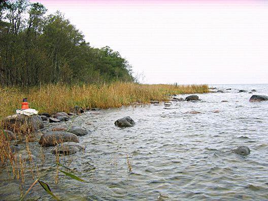 10. Vänern - Dalbosjön, Hindens rev Datum: 2014-10-20 Flodområde: 108 Göta älv Koordinat: 6498470/1331078 RT90 Proverna togs 850 m från parkeringen, längs norra stranden, 300 m öster om den första