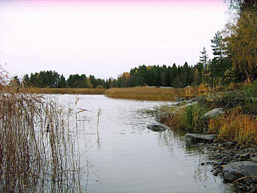 11. Vänern - Ölmeviken, Kärret Datum: 2014-10-21 Flodområde: 108 Göta älv Koordinat: 6580160/1397360 RT90 Proverna togs strax söder om gula husets trädäck, på östra Ölmevikens västligaste udde.