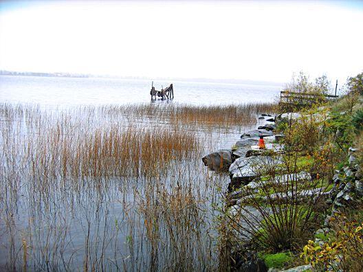 12. Vänern - Hammarösjön, Tynäsudden Datum: 2014-10-21 Flodområde: 108 Göta älv Koordinat: 6583885/1372590 RT90 Proverna togs strax söder om utkiksplatsen av betong.
