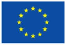 10 mars 2017 EMA/754608/2016 Divisionen för informationshantering EudraVigilance den europeiska databasen för rapporter om misstänkta läkemedelsbiverkningar: användarmanual för onlineåtkomst via