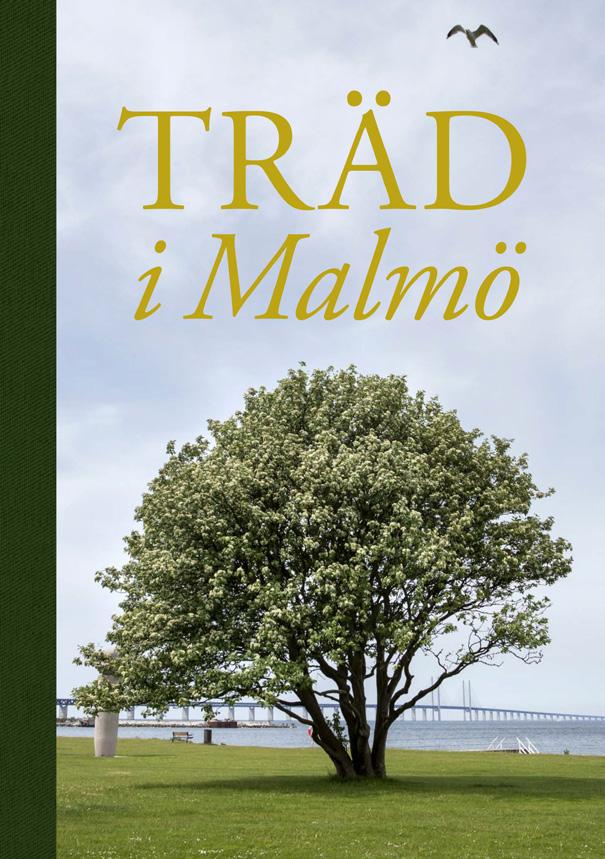 FÖRENINGSLIV Alla föreningar som är med i ABF Malmö är unika och har olika behov.