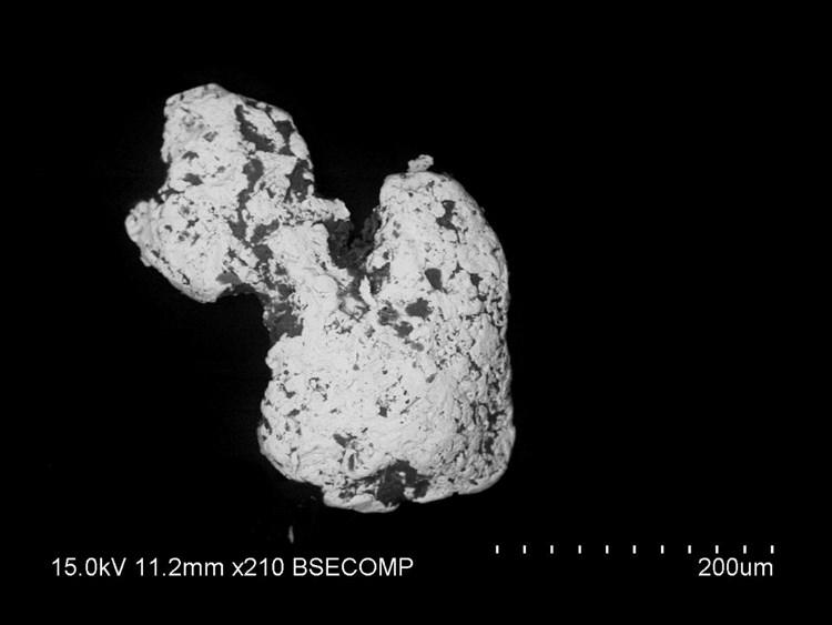 Figur 7. Guld i svepelektronmikroskop. Guldet har en avrundningstrend med små 50 100 µm mörka fördjupningar.
