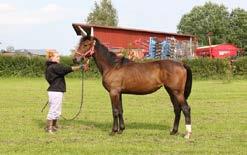 La Surprise Tooma Even Better odds Bridget Boko Viking Kronos (IT) Ulana Boko (US) filly Nr 4 15-1375 1.06.