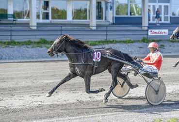 Bankod: 7 Nr -