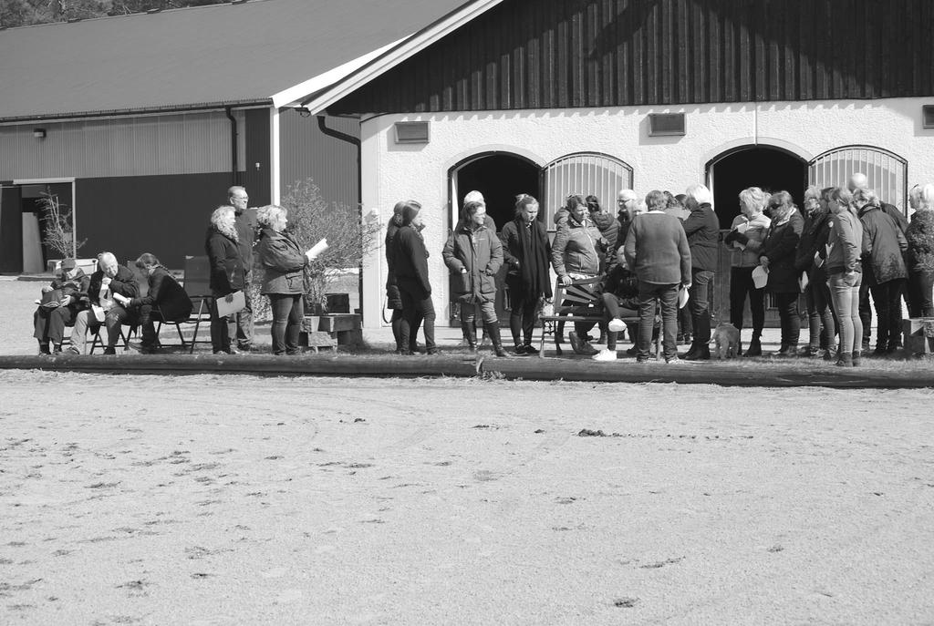Sida 13 Besökare på Ekbäckens Stuteri Foto: Sara Strömberg SvRF:s rankinglista På TDB kan man hitta tävlingsstatistik. Härligt med så många welshar och welshkorsningar i toppen! Dressyr kat B 1.