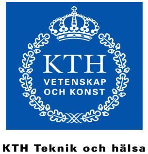 Användarmanual för bedömningsverktyget RAMP II Risk Assessment and Management tool for manual handling