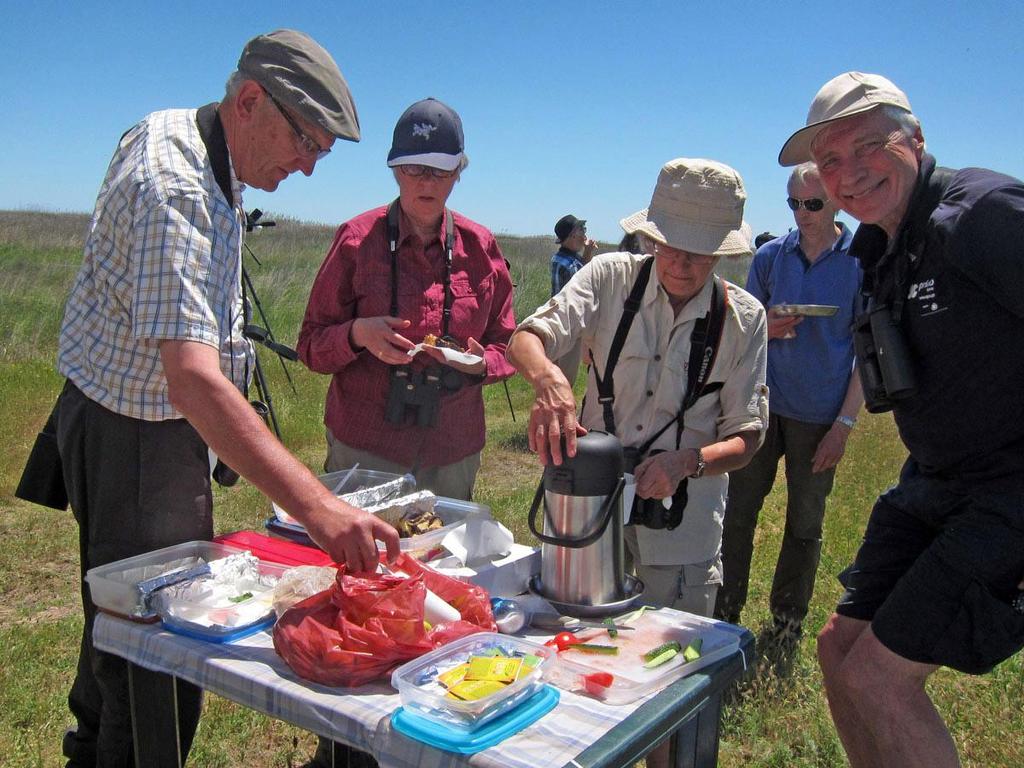 Måndag 29 maj Plopul Babadag forest Istria Vadu Corbo Frukost på hotellet som vanligt kl. 07.30 och bussen äntrades kl. 08.30. Denna dag var det en liten programändring eftersom en amurfalk ställt till det lite.