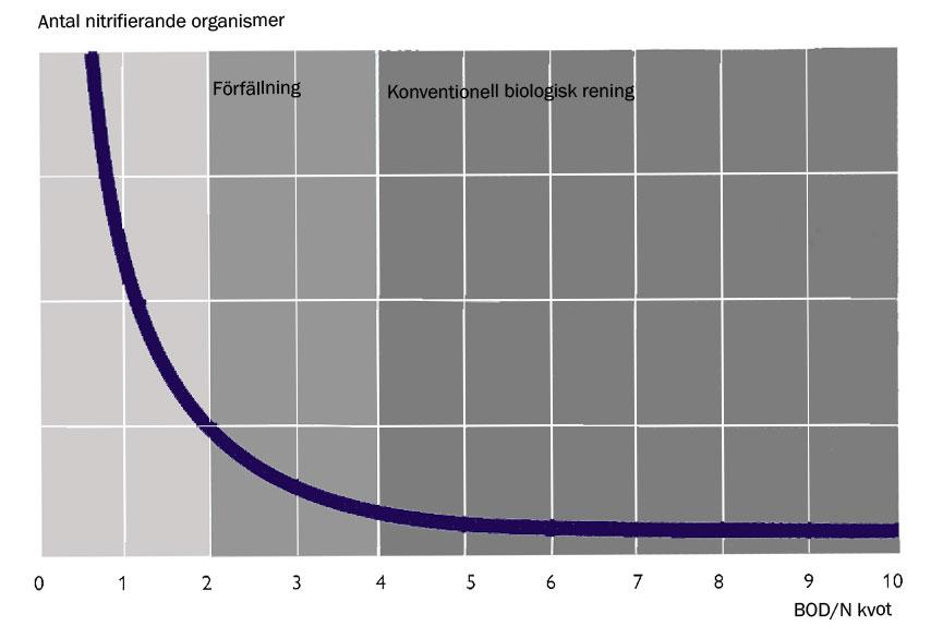 Figur 1 Antal nitrifierande organismer vid olika BOD/N-kvoter (Gillberg et al., 2003). Publicerad med tillåtelse av Kemira. 2.1.2 Denitrifikation För att uppnå god denitrifikation krävs frånvaro av löst syre.