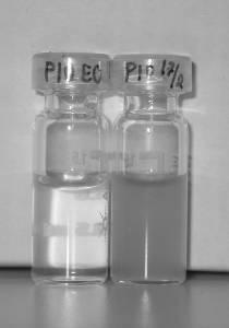 Figur 33 Vialerna för analys av VFA, med filtrat från P20 EO och P20 II dag 9 i försök II. Figur 34 Trattar för filtrering av prov från P20 EO (t.v.) och P20 II (t.h) dag 9.