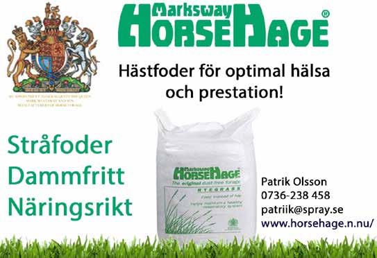 Classic Lady e Linne Eldh F Hd 0/ - / 800, - - Uppf: Elofsson Ritwa & Tall Mikael Slottner F Ax / - / 70, g - - H Äg: Åby Ponnytravskola Slottner F Ax / - / 0 0 7, g - - Blå, gula hängslen &