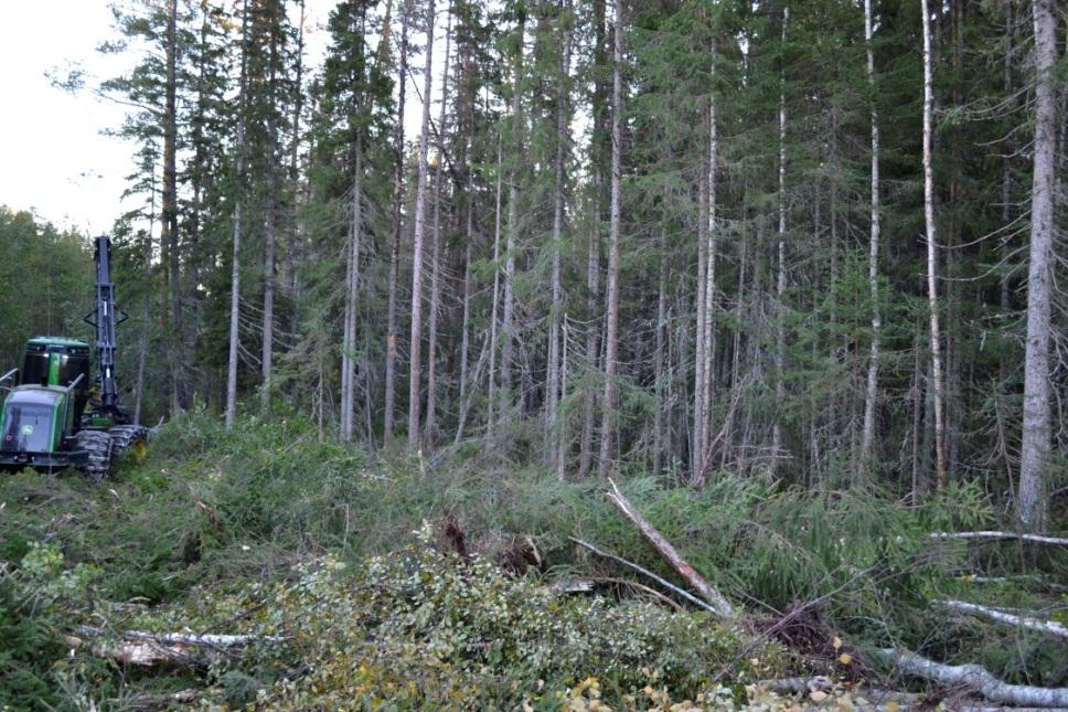 I Tabell 1 framgår några karaktäristika hos beståndet. Tabell 1. Karaktäristika hos det avverkade delytorna.