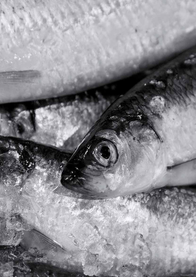 ODIN Norge Fonden är indexoberoende och kan fritt investera i företag som är börsnoterade