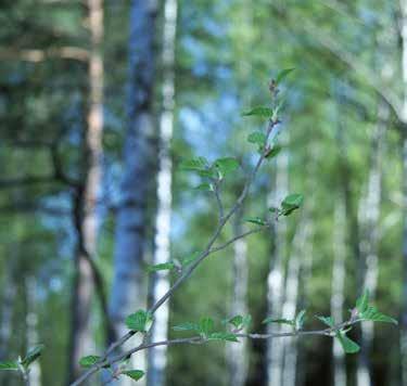 ESG Ansvarsfulla investeringar i ODIN ODIN investerar i bolag som skapar värde över tid. Långsiktigt värdeskapande kräver hållbara affärsmodeller.