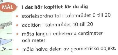 1D Eleverna skrivit och ritat färdigt om sitt bondgårdsbesök förra veckan. Eleverna arbetar vidare med arbetsschemat. De får där arbeta med läsförståelse, skriva väl, bokstavsarbetet och läsa.