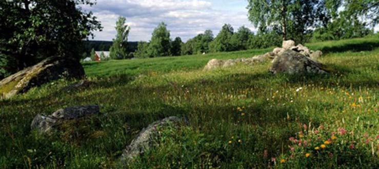 Fakta om bete Färskvara Förändras (mängd och kvalitet)