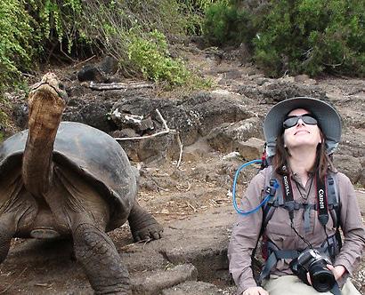 Här får ni också betala entre avgiften till Galapagos National Park som ligger på 120 USD. Ert bagage kommer att bli genomsökt för att se att inga djur eller växter förs in till öarna.
