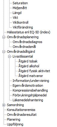 17 Ny journalmall för