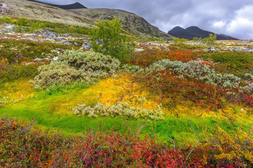 Rondane & Dovrefjell i höstskrud! I fokus på denna fotoresa: Storslagna berg i höstskrud. Vi fotograferar ett av Norges största berg Snöhetta.