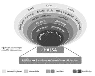 samspelar Individnivå Familjenivå Kamratnivå/Socialt nätverk Skolnivå/Arbetsplats Närsamhället