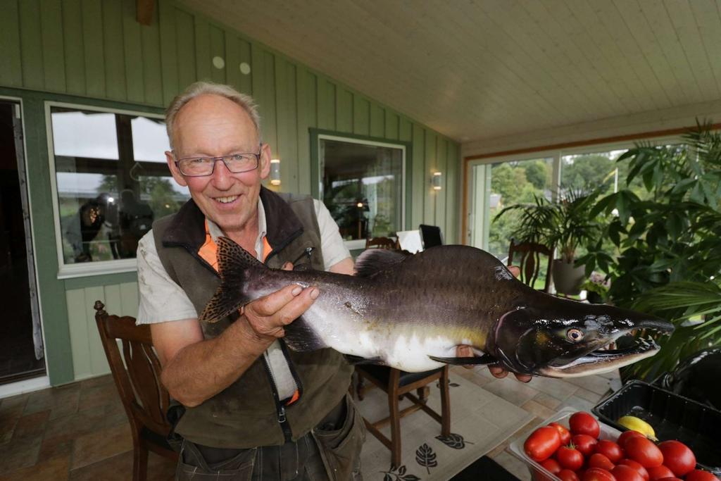 Första puckellaxen någonsin i Nydala, Högvadsån Besöksnäring med variation och kvalité Besöksnäringen är en av de branscher som växer snabbast i