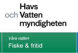 En effektivare laxtrappa eller ökat flöde i den gamla älvfåran är möjliga åtgärder.