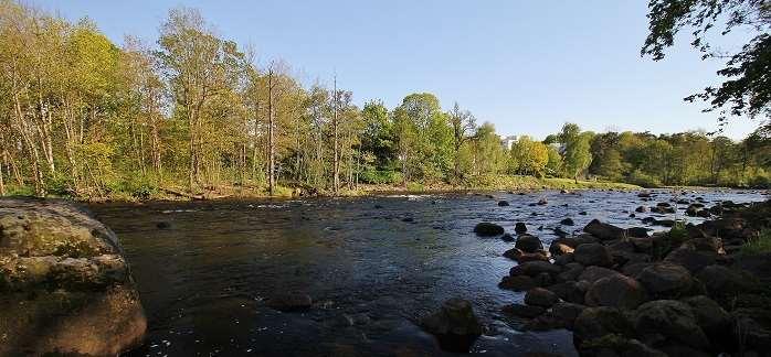 Falkenbergs kommun har ett projekt med stor utvecklingspotential för ekoturismen