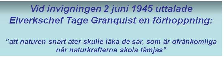 grillplatser och