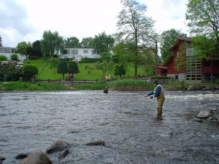 Nu visar Jani prov igen på sin lokalkunskap, och krokar på en fisk strax nedanför pumphuset.