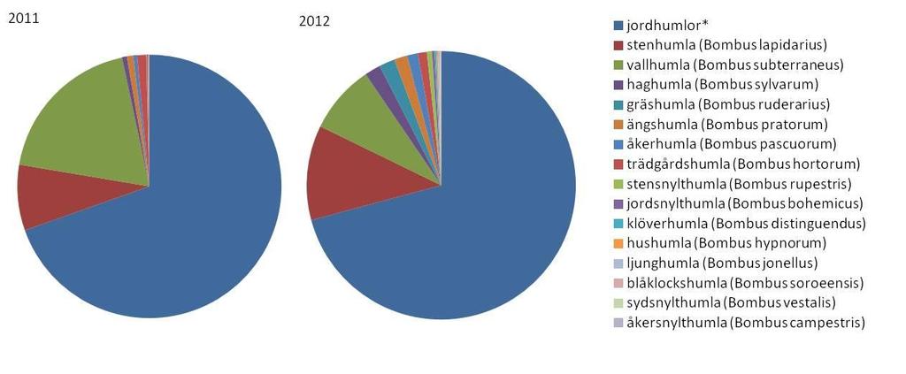 jordhumla, kragjordhumla och skogsjordhumla är omöjliga att med säkerhet skilja åt i fält. Även vallhumla och stenhumla var vanligt förekommande i blomremsorna under båda åren. Figur 7.