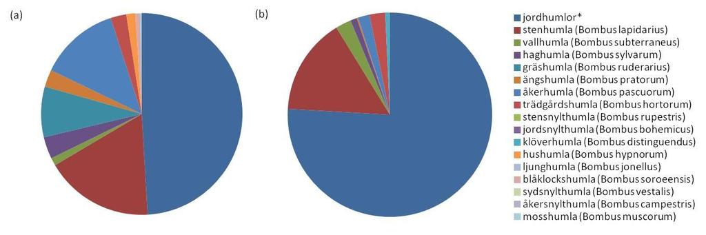 merparten av observationerna. Det här sammanfaller med flera andra studier runtom i Europa (Haaland m.fl. 2011), vilket begränsar blomremsors nytta för bevarandet av biologisk mångfald.