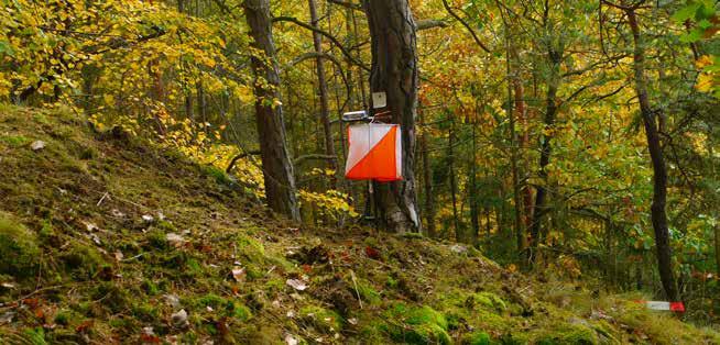 KOMMUNINFORMATION Veteran-SM i orientering i Perstorp Helgen 14-16 september blir det mycket spring i byn. Och benen. Då arrangeras nämligen SM i orientering för veteraner (35 år och uppåt).