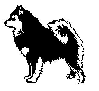 FCI:s grupp 5 Spetshundar och hundar av urhundstyp FINSK LAPPHUND 189 (SUOMENLAPINKOIRA) Ursprungsland / hemland: Finland Typ Illustrationerna nedan visar på de skillnader i typ som förekommer på