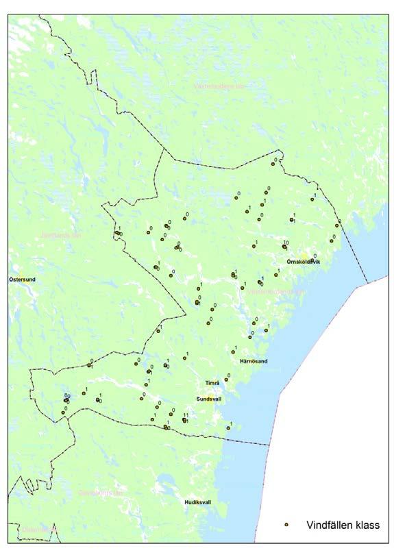 Figur 7. Påträffade färska vindfällen i Västernorrlands län under NRS 2012. 1 = yta med vindfällen, 0 = inga färska vindfällen funna.