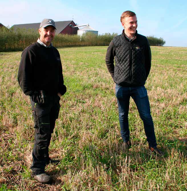 REPORTAGE: RGT PLANET år kommer halva arealen att tillväxtregleras. Vi diskuterade det redan i år men vid tidpunkten för behandling var grödan på gränsen till torkstressad så vi avstod.