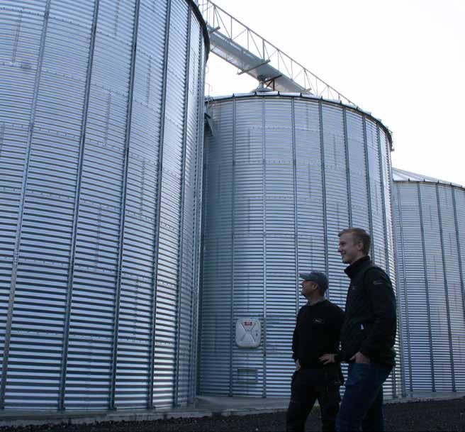 Det uttalandet till trots menar Fredrik att Planet är en lättröskad sort. Med den potential Planet har är det värt investeringen med två svampbehandlingar.