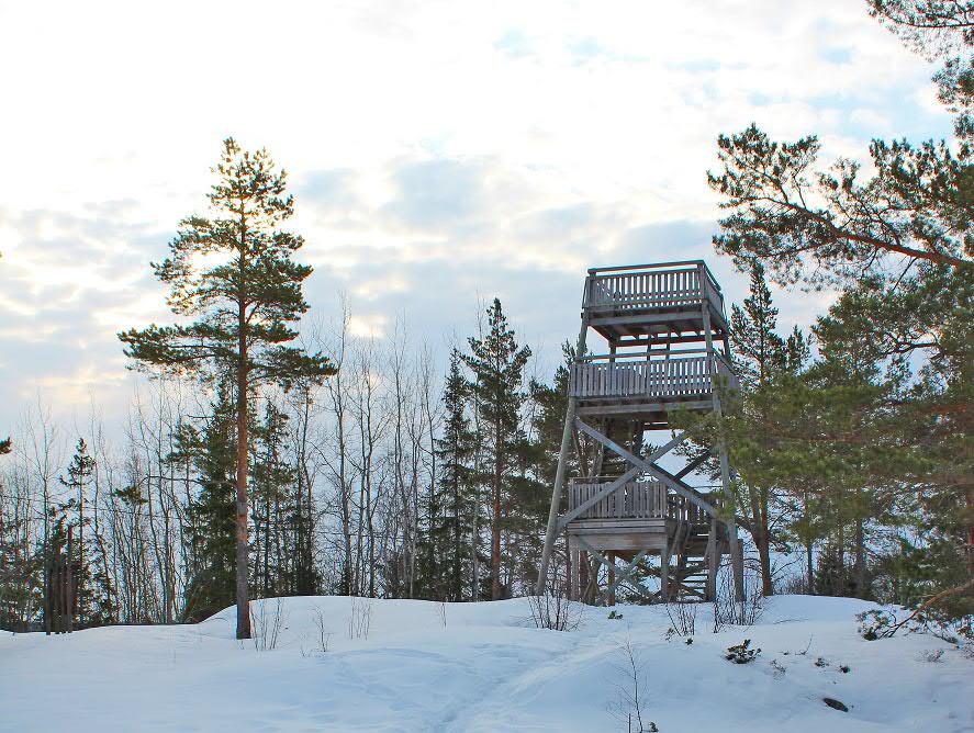 2 1 Fågeltornet på Bergön, startpunkt för dag- och natträkningarna Räkningarna i kompensationsområdena genomfördes från i förväg bestämda punkter i terrängen, markerade och numrerade på kartor