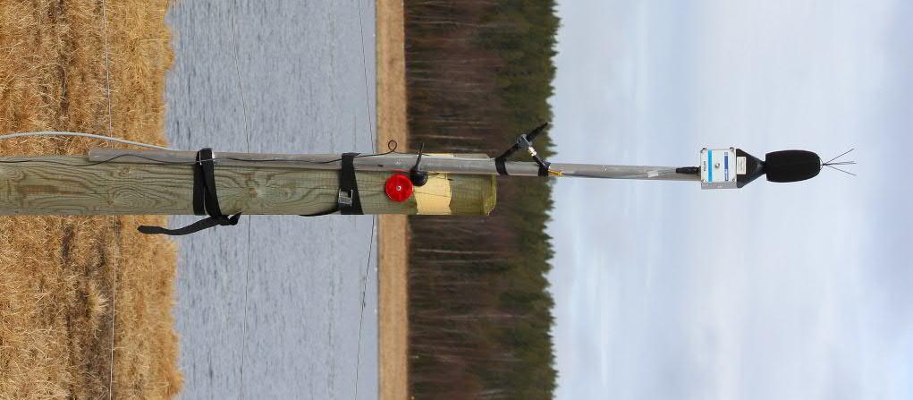 2 Momentet är i huvudsak kopplat till den uppskjutna frågan om bullerstörningar på gässens nattplats Västerfjärden.